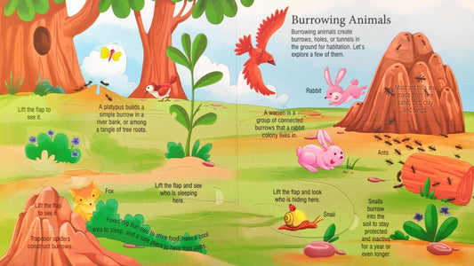 Animal at Home Explore Inside (Flap Book)