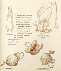 The Tales of Beedle the Bard