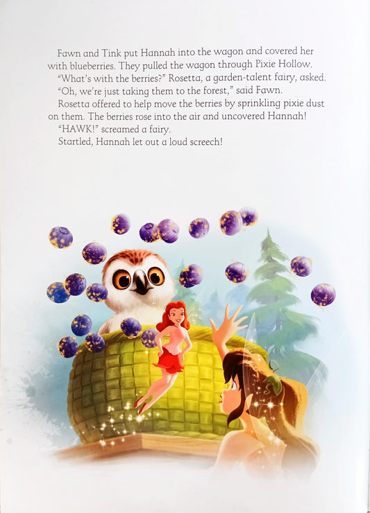 Disney TinkerBell And The Legend Of The Neverbeast