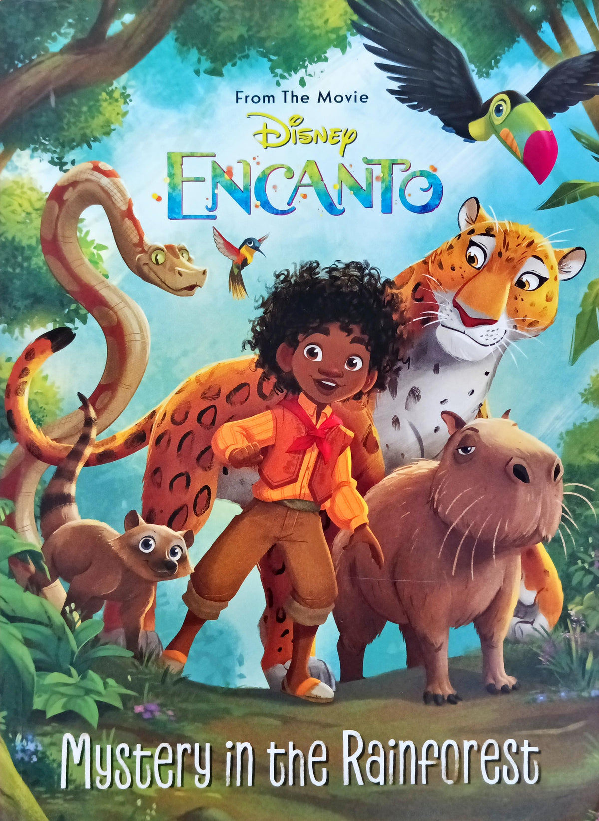 Disney Encanto