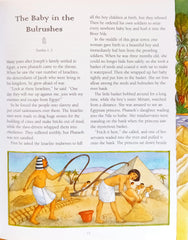 The Lion Bible for Children