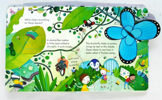 Usborne Peep Inside the Zoo (Flap Book)