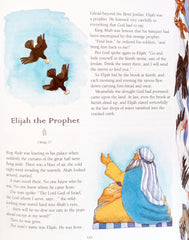 The Lion Bible for Children