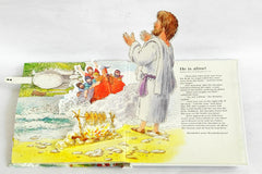 The Greatest Story Ever Told (Popup Book)