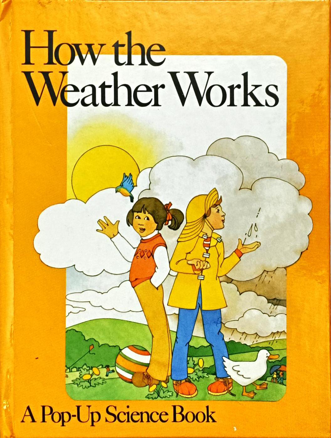How the Weather Works (Popup Book)