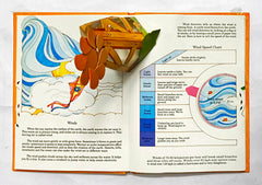 How the Weather Works (Popup Book)