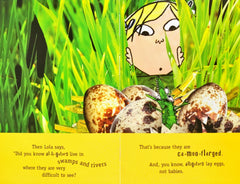 But I Am an Alligator(Charlie & Lola)