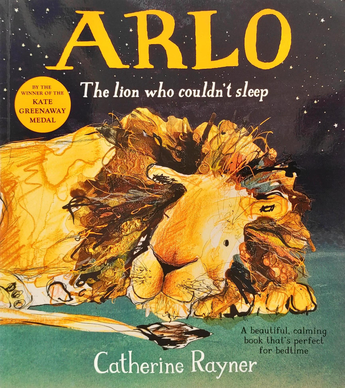 Arlo The Lion who Couldn't Sleep