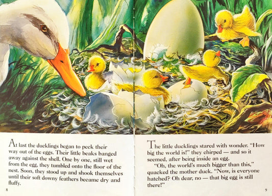 The Ugly Duckling