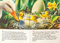The Ugly Duckling