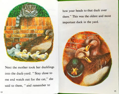 The Ugly Duckling