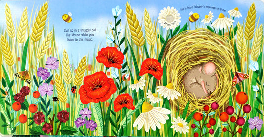Calming Music Book (Usborne Sound Book)