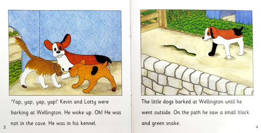 The Snake in the Cave Combo (3 Books)