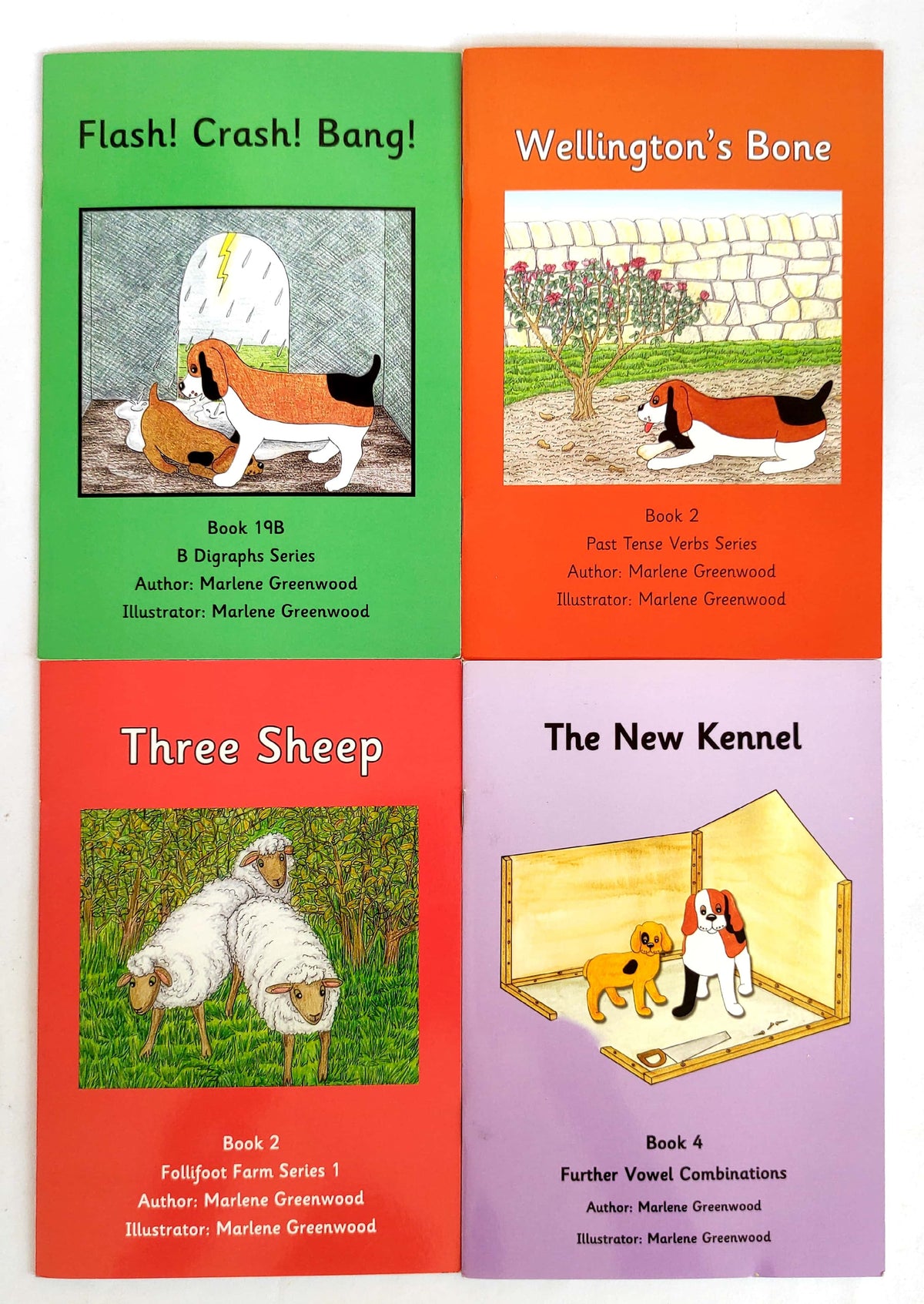 Learn to Read Phonics Combo 3 (4 Books)