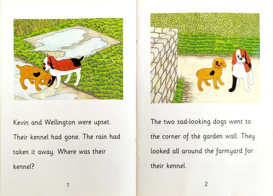 Learn to Read Phonics Combo 3 (4 Books)