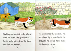 Learn to Read Phonics Combo 3 (4 Books)