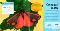 My First book of Sea Creatures and Minibeasts Combo (2 Books)