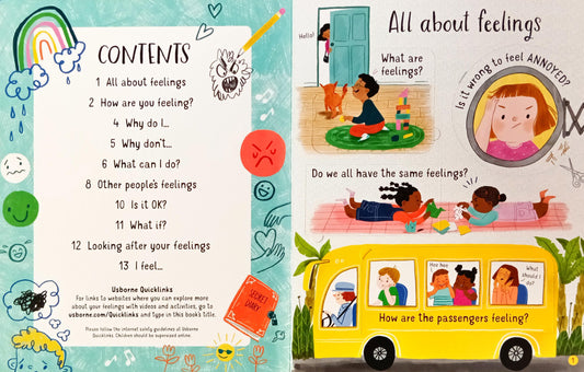 Usborne Questions and Answers About Feeling (Lift the Flap)