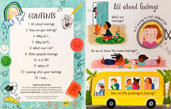 Usborne Questions and Answers About Feeling (Lift the Flap)