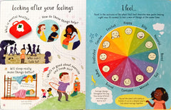 Usborne Questions and Answers About Feeling (Lift the Flap)