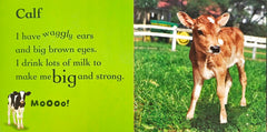 Baby Animals on the Farm