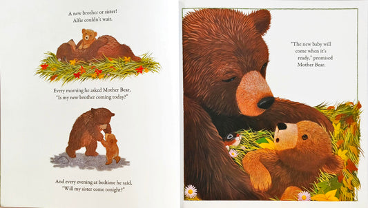 Are you there Baby Bear?
