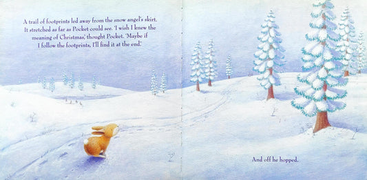 Pocket's Christmas Wish