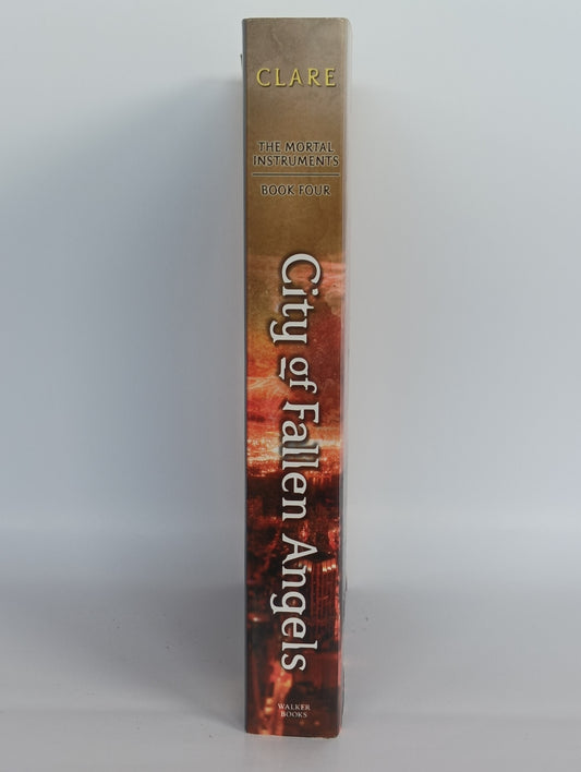 City of Fallen Angels
