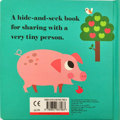 Where's Mr Hen? (Felt Flap Book)