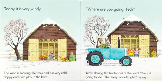 Usborne Poppy and Sam Combo 4  (3 books)