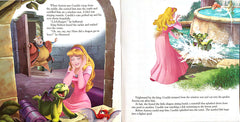 Disney Princess Combo 4 (2 Books)