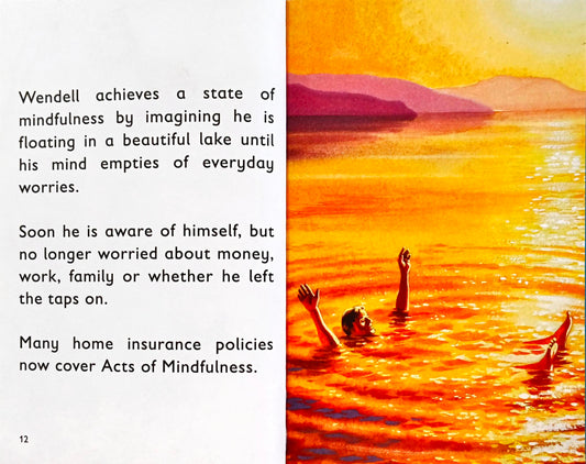 The Ladybird book of Mindfulness