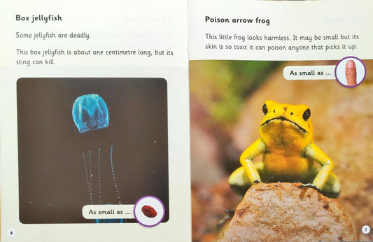 Read Write Inc Phonics Non Fiction Combo (10 Books)