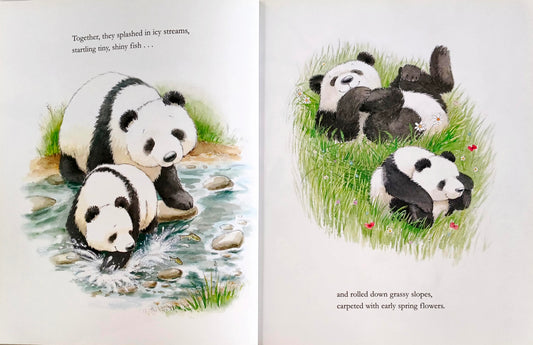 By my side Little Panda