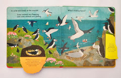 Who's Hiding of the Seaside? (Flap Book)
