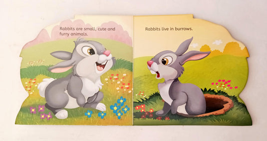 My First Shaped Board Book Rabbit (Cut Book)