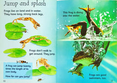 Usborne Begineers Combo 6 (3 Books)