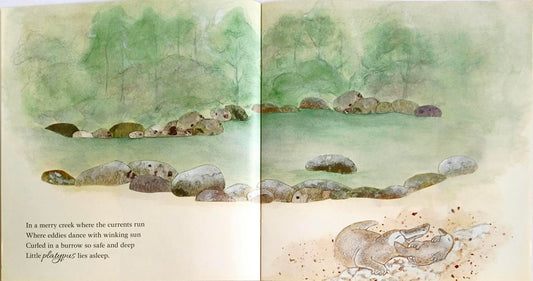 Bushland Lullaby