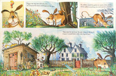 Storybook Combo Set 160 (2 Books)