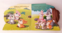 My First Shaped Board Book Rabbit (Cut Book)