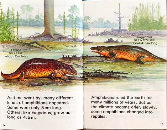 Dinosaur (Ladybird)