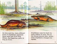 Dinosaur (Ladybird)