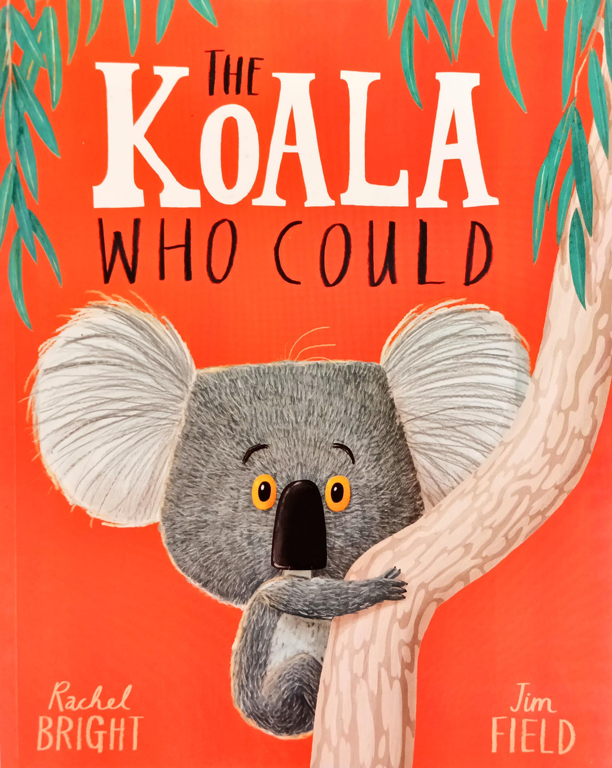 The Koala who Could