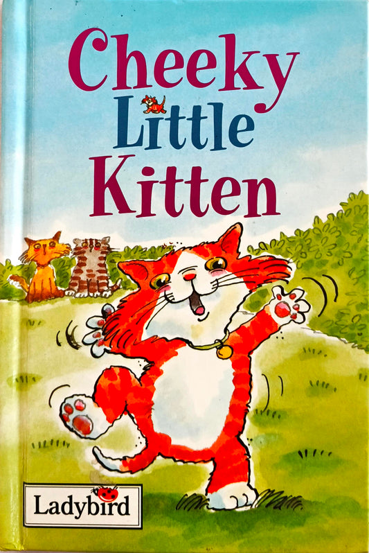 Cheeky little Kitten