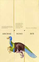Flip o Saurus (Flip Flap Book)