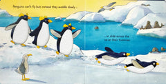 Usborne Penguins (Touch and Feel)