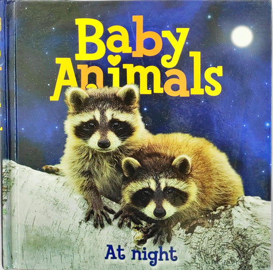 At Night (Baby Animals)