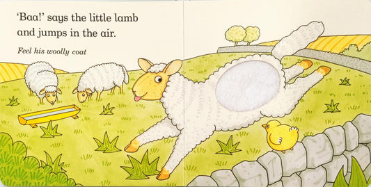 Fluffy Chick (Touch and Feel)