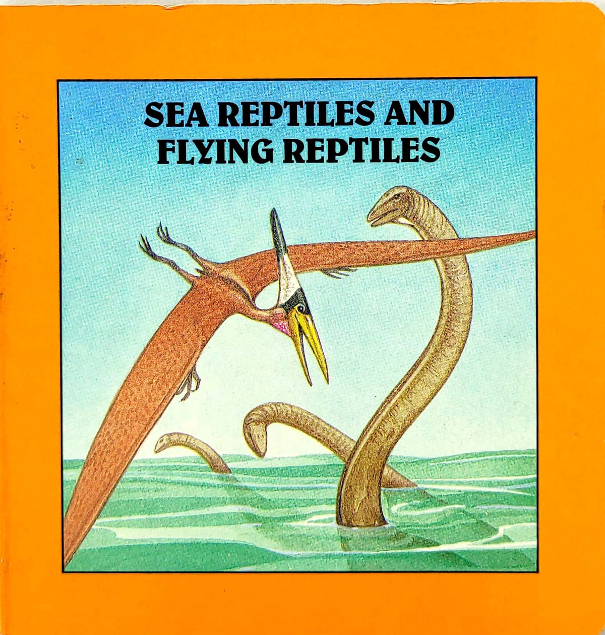 Sea Reptiles and Flying Reptiles