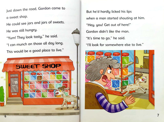 Reading Champion Combo 15  (6 Books)